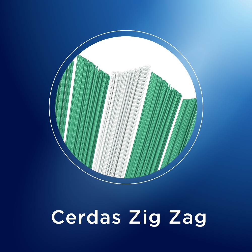 CPCHORA600_1.jpg