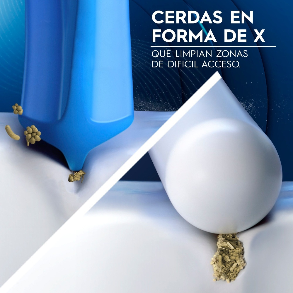 CPCHORA229_3.jpg