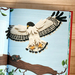 MI PRIMER LIBRO DE FLORA Y FAUNA - 9789560955319-4.jpg
