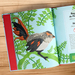 MI PRIMER LIBRO DE FLORA Y FAUNA - 9789560955319-3.jpg
