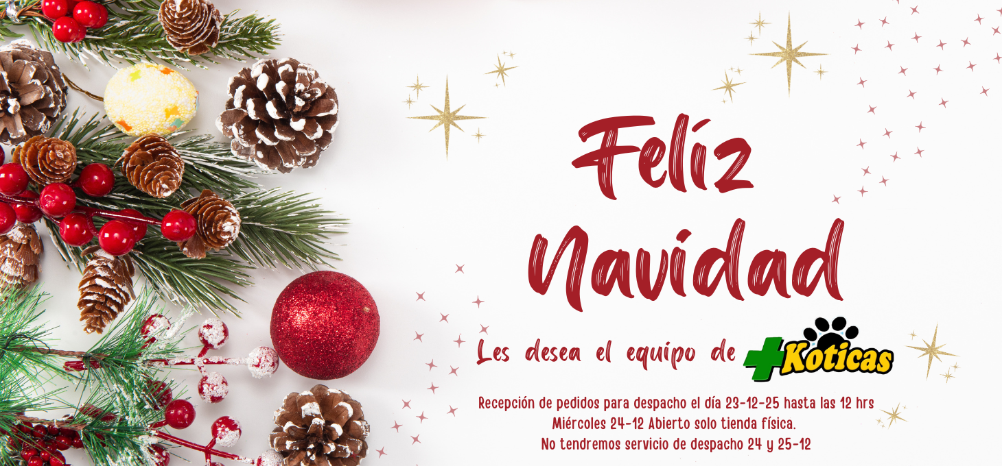 Banner_Pagina_Web_navidad2025.png