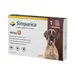 SIMPARICA PARA PERROS 40 A 60 KG  - simparica_40a60.webp