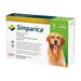 SIMPARICA PARA PERROS  20 A 40 KG - simparica_3_tabletas_20_a_40_kilos_3.jpeg