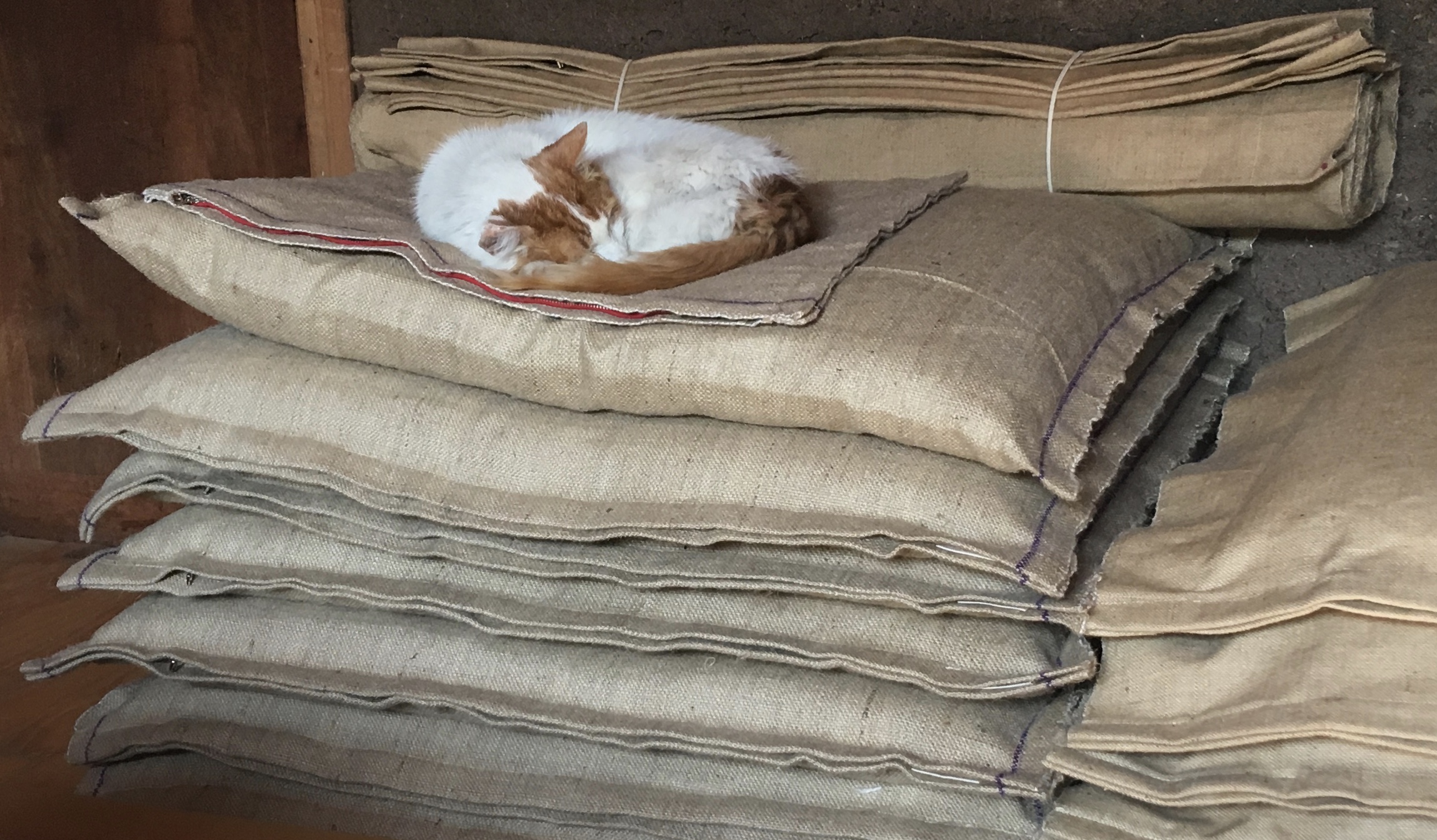  - fullsizeoutput_cd4.jpeg