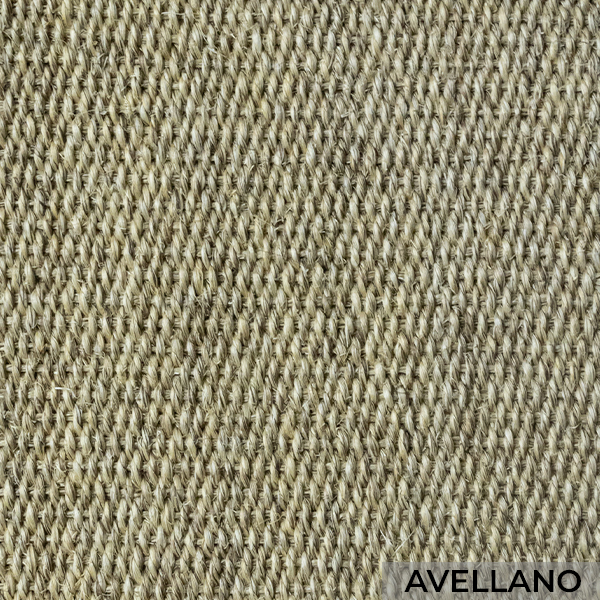 Avellana