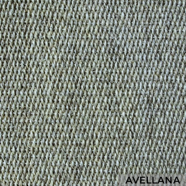 Avellana