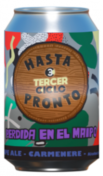  - perdidaenelmaipo.png