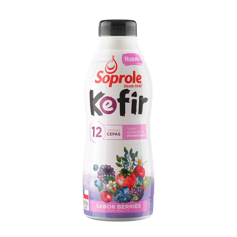 Bebidas Lácteas
