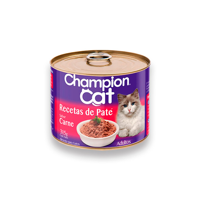 Gato