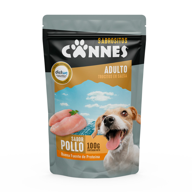 Perro