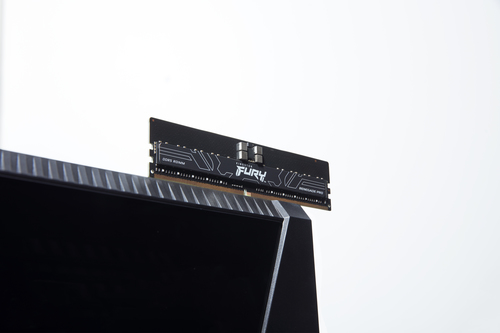 Kingston Fury Renegade Pro KF556R36RB-32 (1 x 32 GB | DIMM DDR5