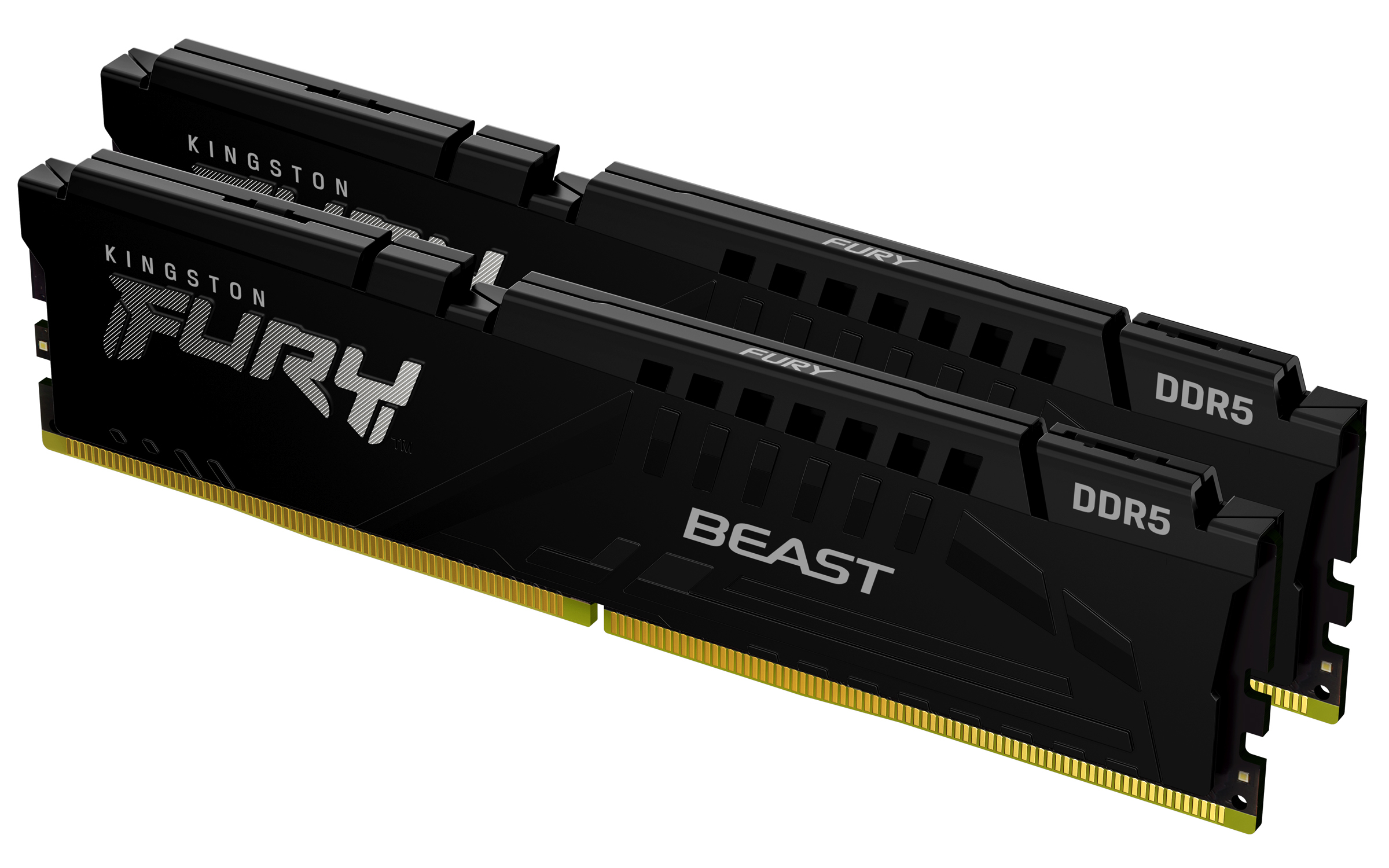 Kingston Fury Beast KF564C32BBEK2-64 (2 x 32 GB | DIMM DDR5-6400