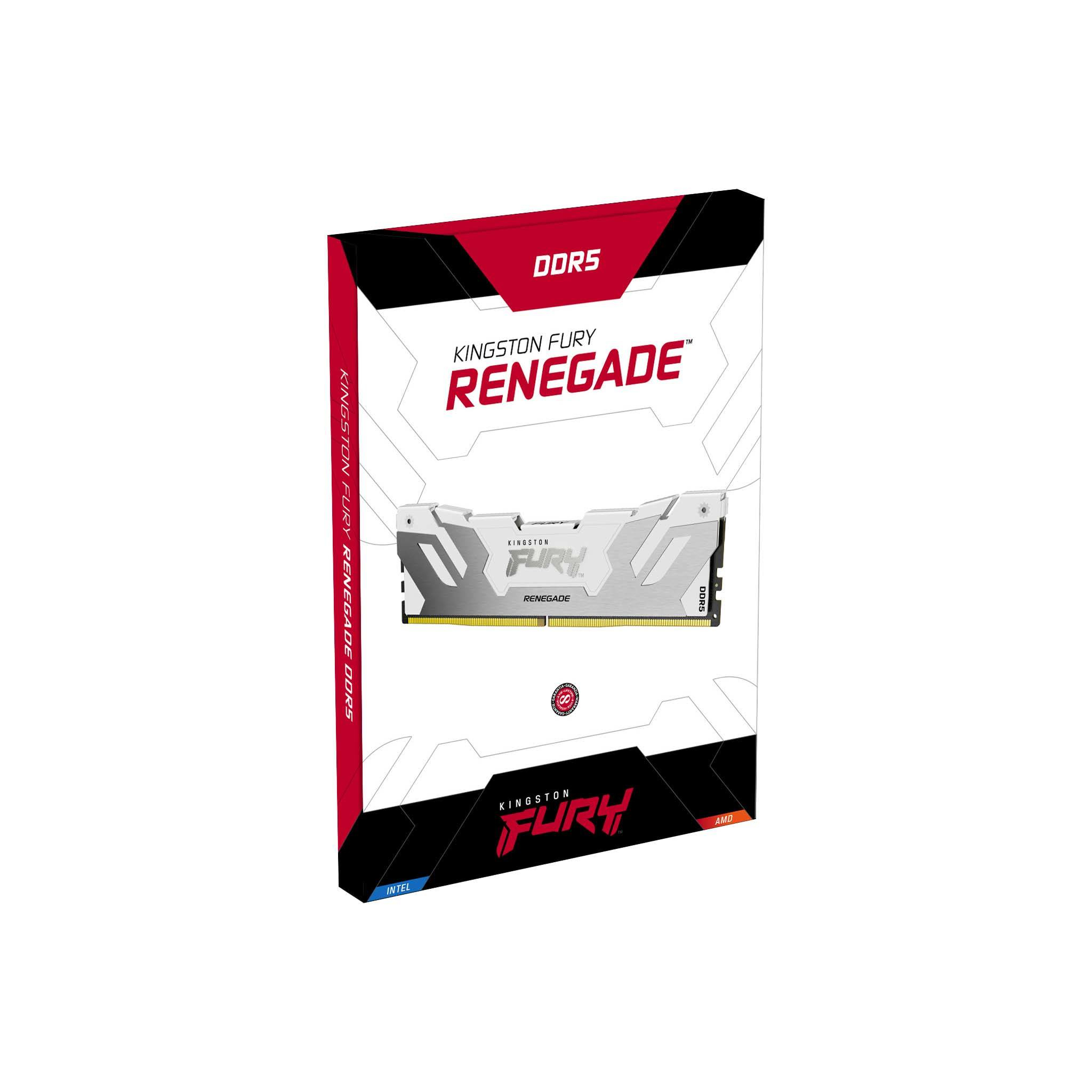 Kingston Fury Renegade KF564C32RWA-16 (1 x 16 GB | DIMM DDR5-6400