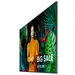 Pantalla profesional Samsung LH55QM 55