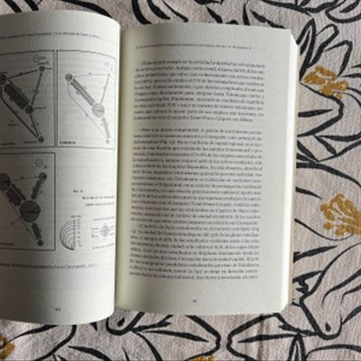 Geografia y sociedad. El gran Concepcion