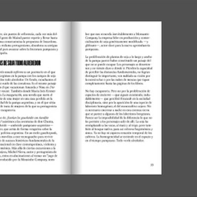 Imaginar otra tierra. Geoestéticas pampeanas