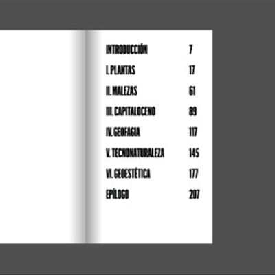 Imaginar otra tierra. Geoestéticas pampeanas