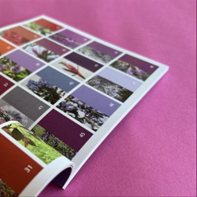 Los Ríos en colores