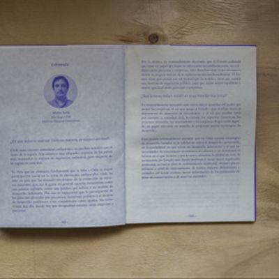 Idea política pública