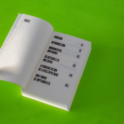 La arquitectura de la discapacidad.
