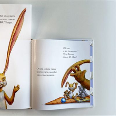 El libro sobre libros del conejo Mateo