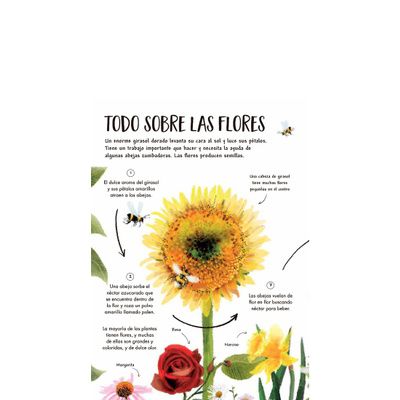 Mi primer libro de la naturaleza